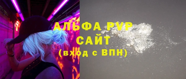 индика Новокубанск