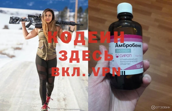 первитин Новодвинск