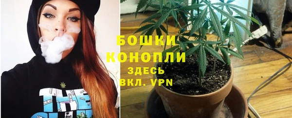 MDMA Premium VHQ Новозыбков