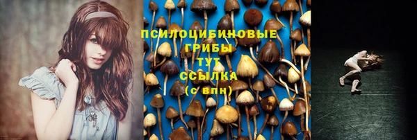 МДМА Няндома