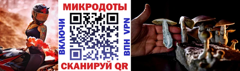 дарнет шоп Сорск Галлюциногенные грибы Psilocybe